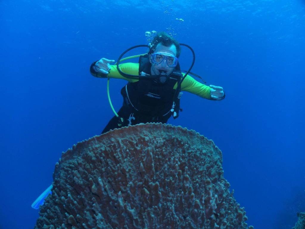 Majutusasutuse Seagrape Plantation Resort & Dive Center külastajad
