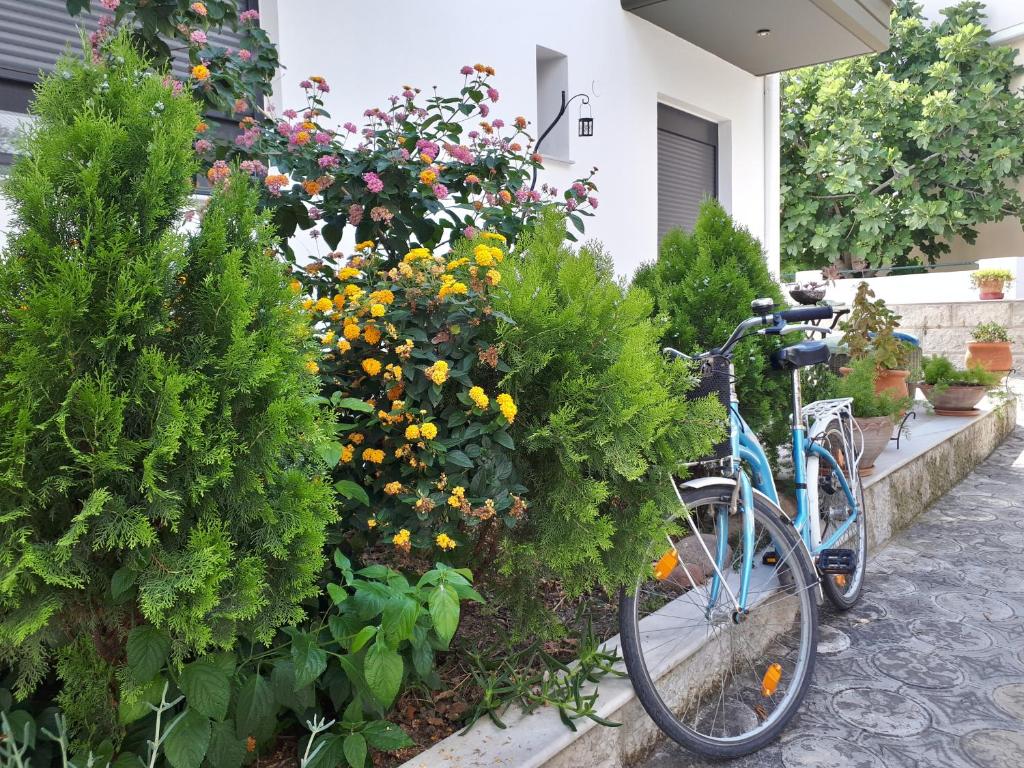 Jazda na bicykli v okolí ubytovania Le Onde