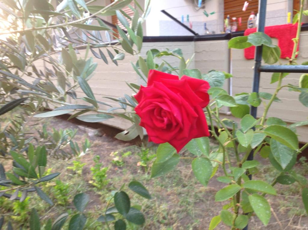 Derechos de imagen reservados por Booking.com