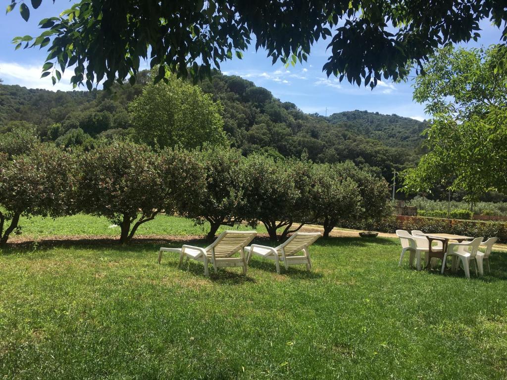 Príroda v okolí of the country house