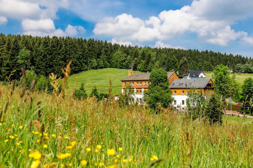 une grande maison au milieu d'un champ d'herbe dans l'établissement Landhaus Bergidyll, à Bärenstein