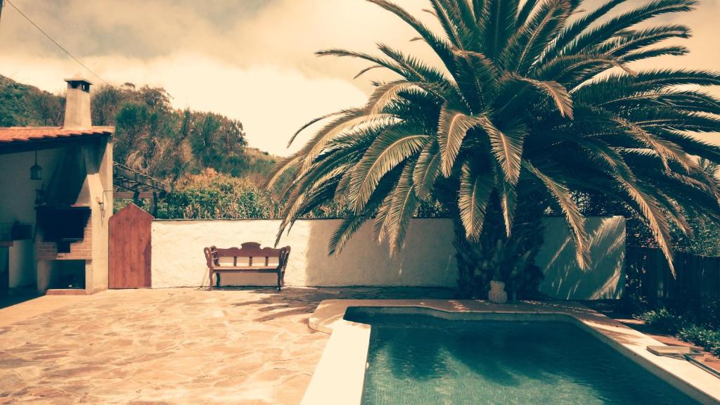a palm tree and a chair next to a pool at Casa Domi in La Esperanza