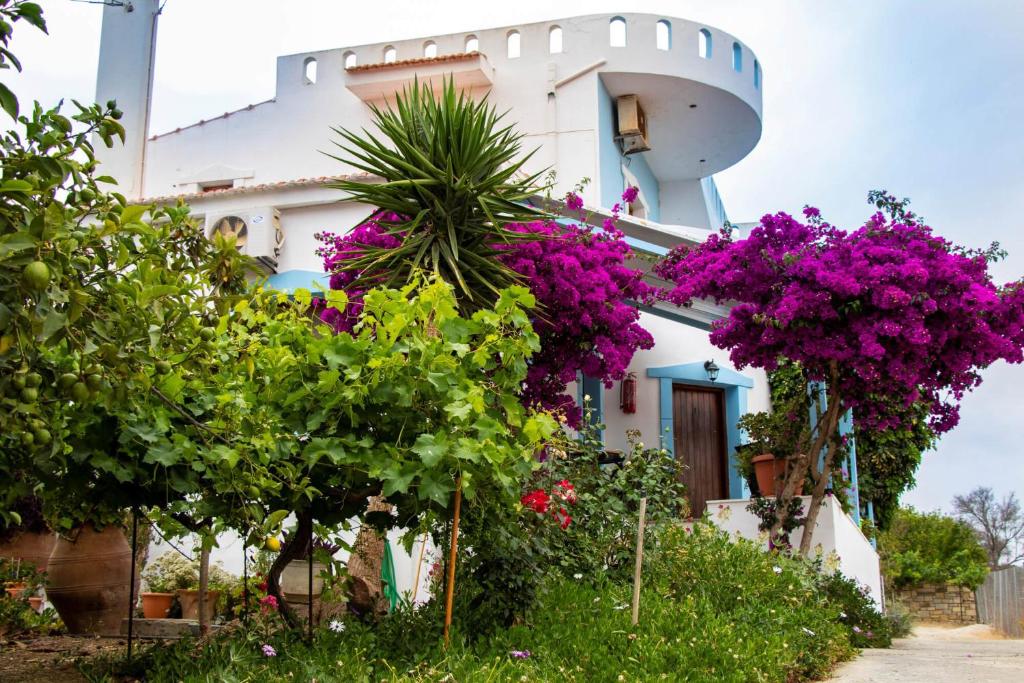 une maison avec des fleurs violettes devant elle dans l'établissement Jodi's Pension, à Pitsidia