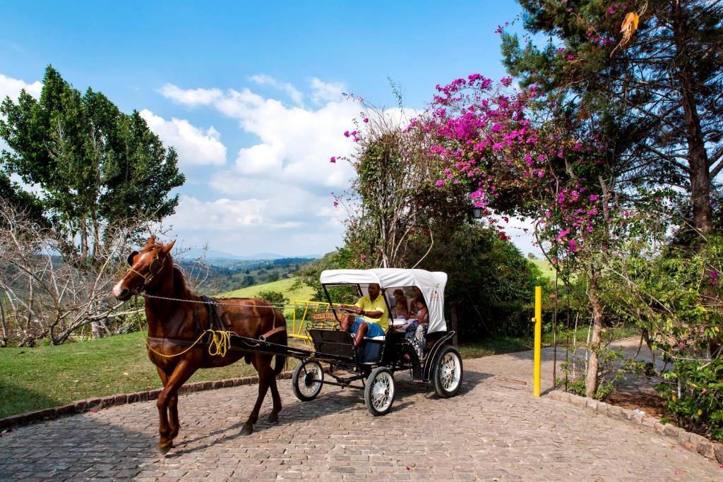  Fazenda Colibri