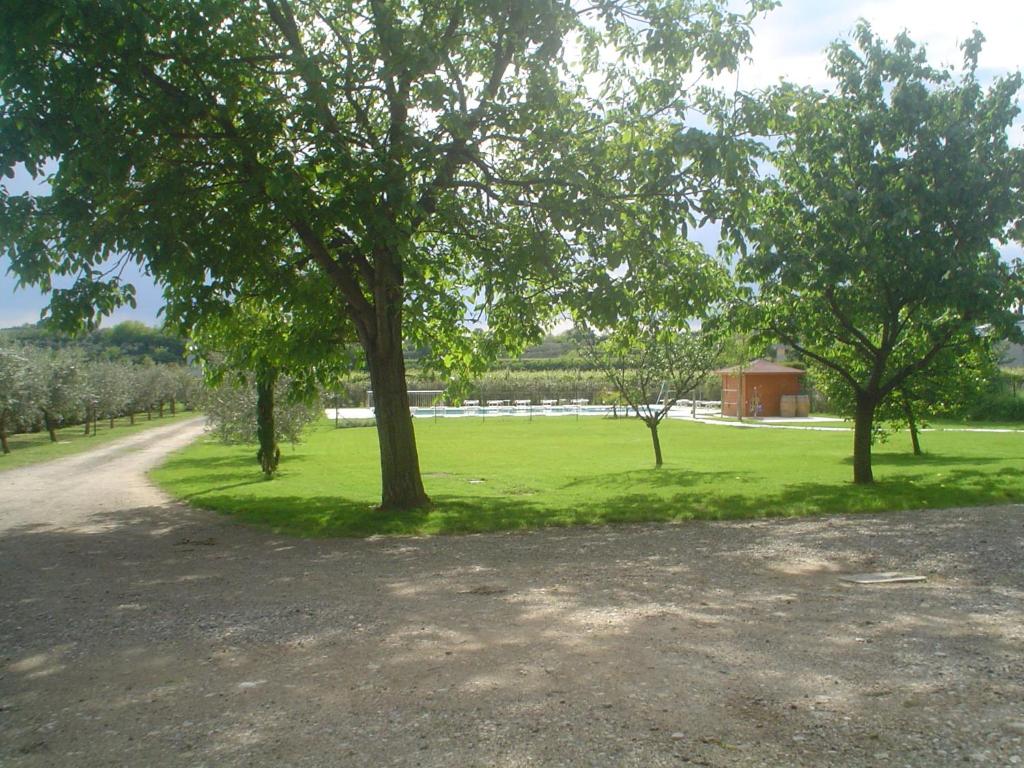 Zahrada ubytování Agriturismo Borgo di Calmasino