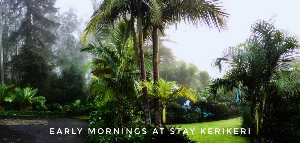 Stay Kerikeri - Resim 40
