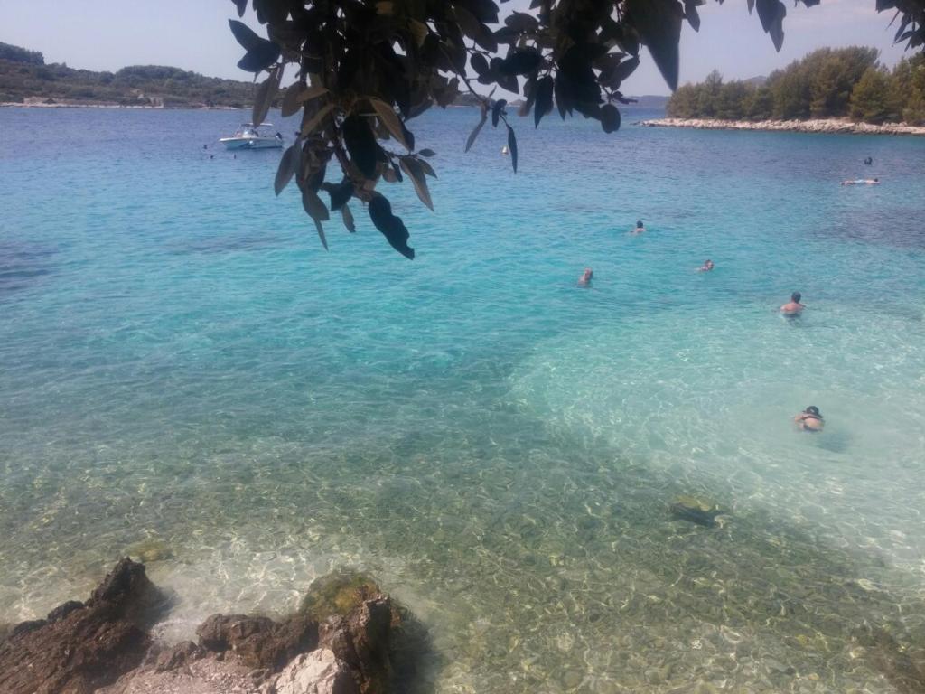 Príroda v okolí apartmánu