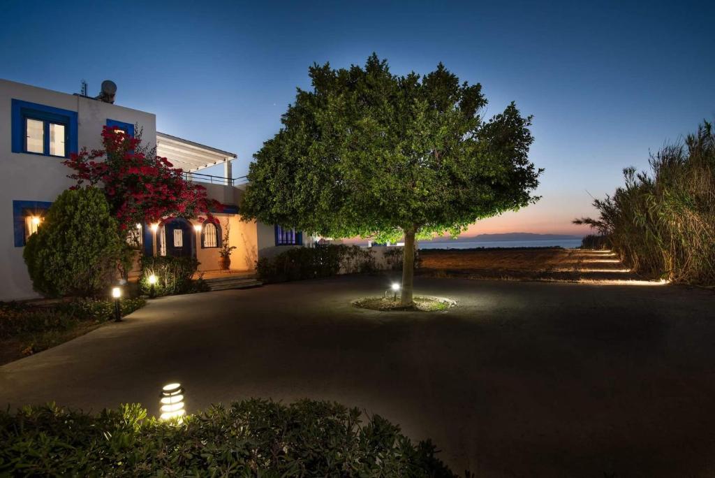 Zahrada ubytování Nautilus Beach House