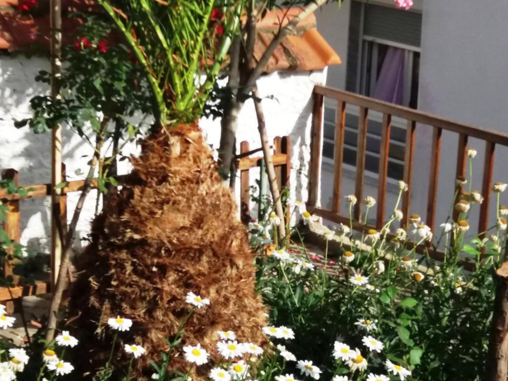 Traditional House Paschalis - Holiday Home