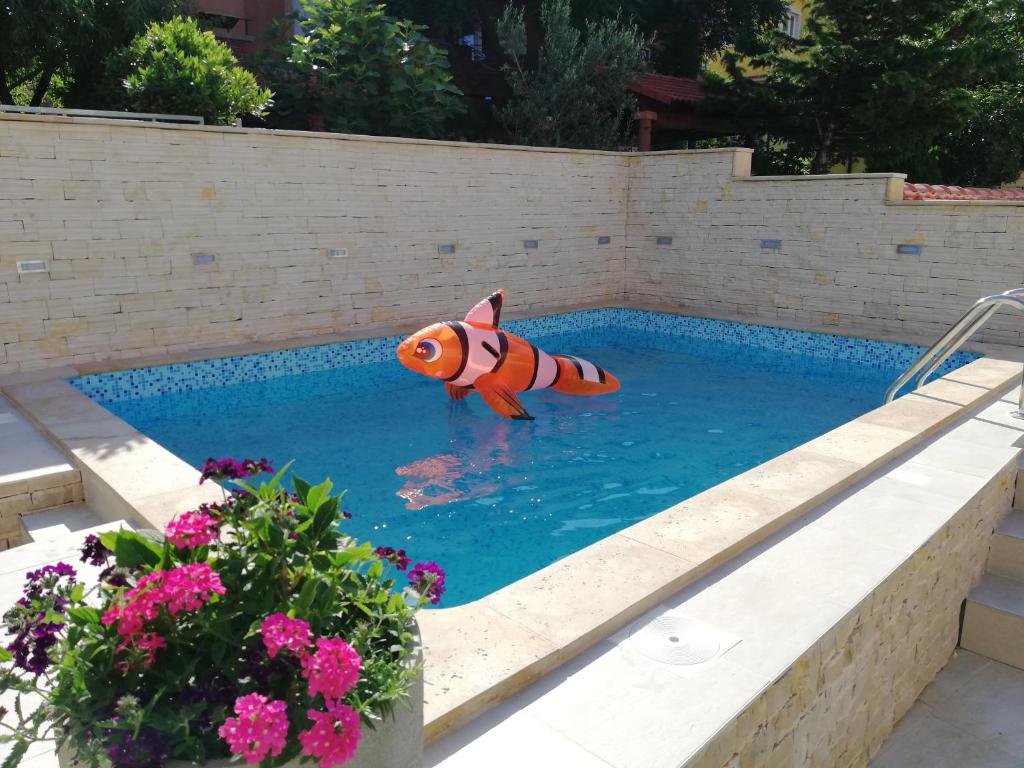 un jouet de poisson dans l'eau d'une piscine dans l'établissement Apartment Goran, à Senj