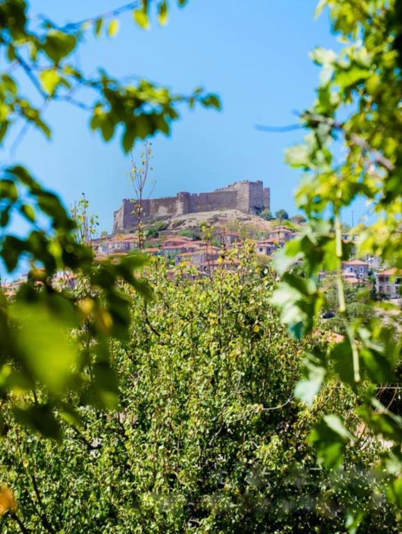 Príroda v okolí apartmánu