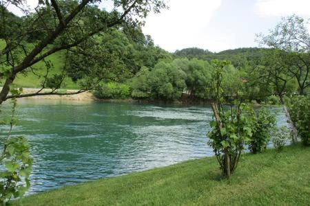 vistas a un río con árboles y un campo en Peaceful Oasis - house for rest and relaxation, en Bosanska Krupa