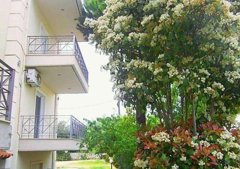 Zahrada ubytování Areti & Maria Apartments