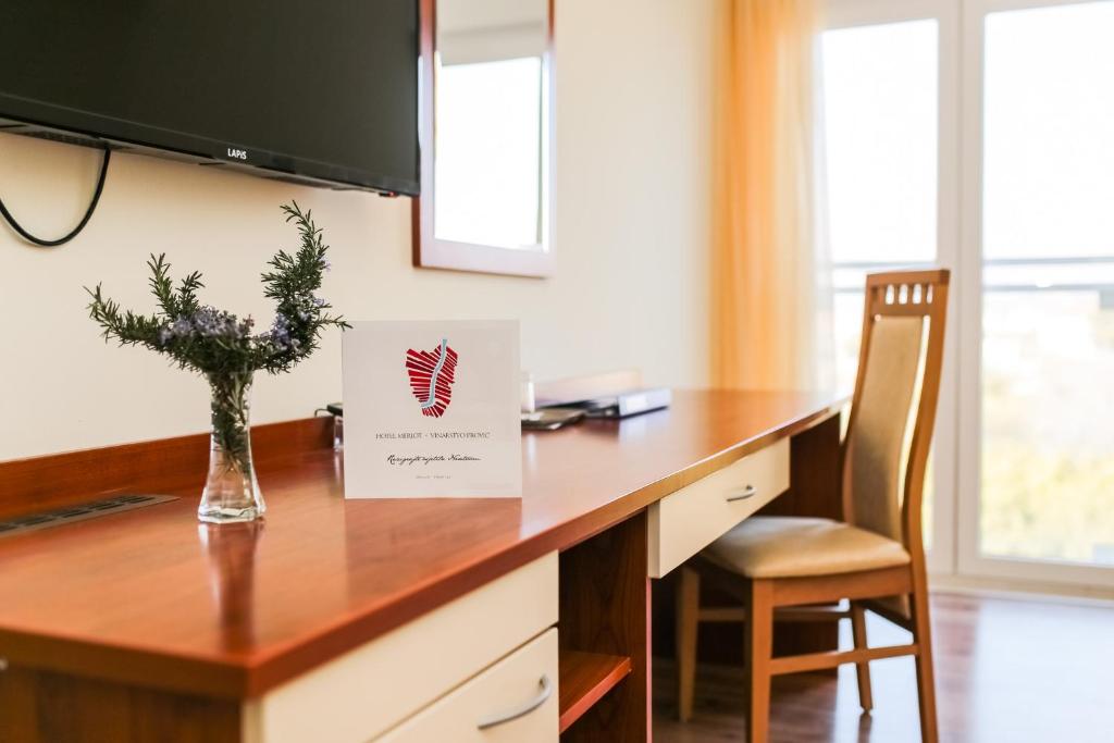 TV a/nebo společenská místnost v ubytování Hotel Merlot