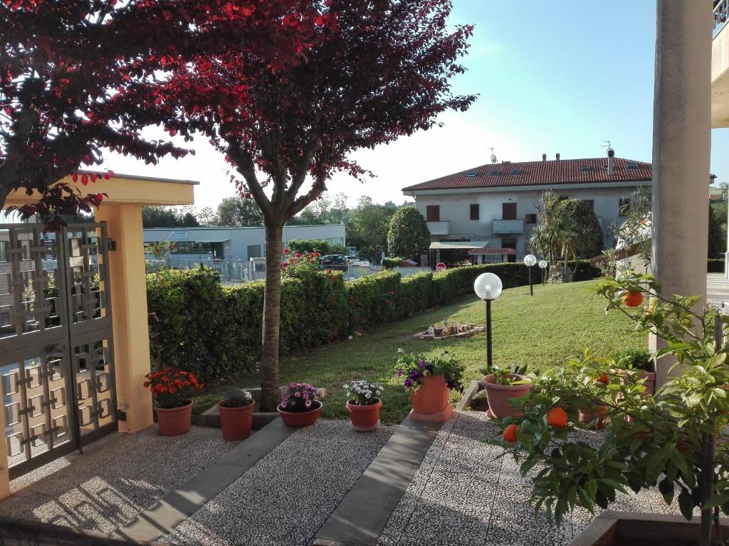 un jardín con macetas y un árbol en Affittacamere Villa Zelinda en Sirolo