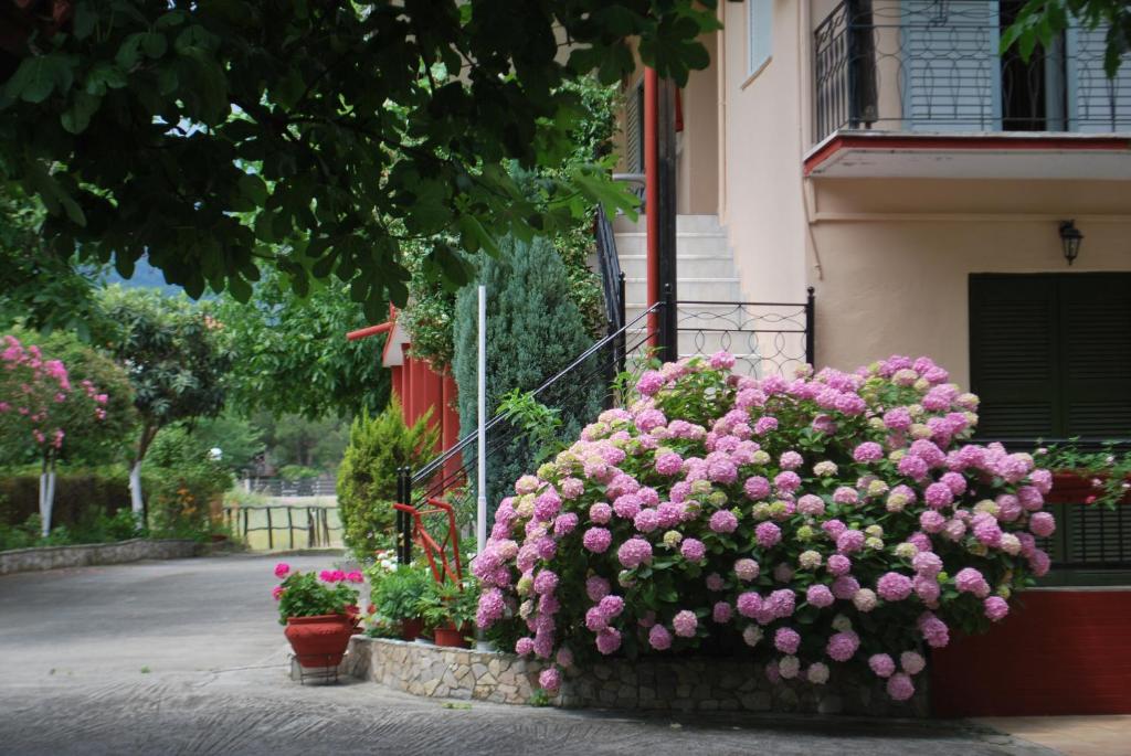 Apartments Stilos Ioannis