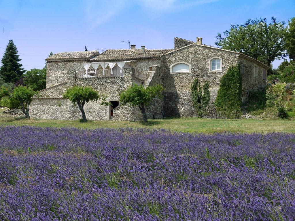 una vieja casa de piedra con un campo de flores púrpuras en La Ferme Les Eybrachas, en Réauville