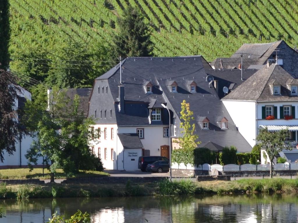 uma grande casa branca junto a um rio e vinhas em Ferienwohnungen Haus Dienhart em Piesport