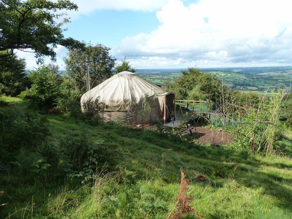 a yurt on a hill in a field at Yurt luxury + Bathhouse in Callington