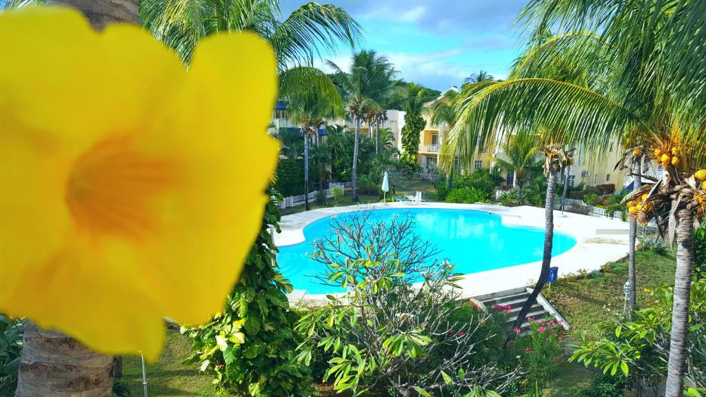 una flor amarilla frente a una piscina en Villa in Le Tamier, 4 bedrooms, 300m Flic en Flac beach, en Flic en Flac