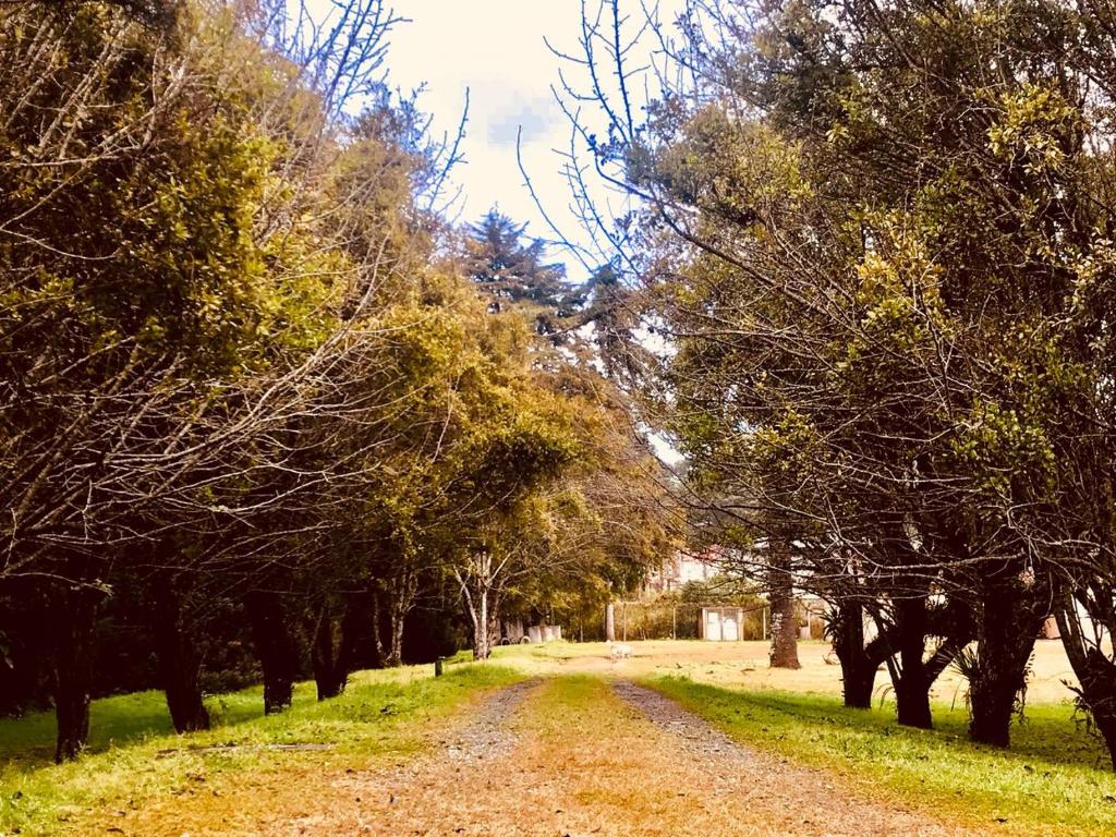 Hotel Platanus