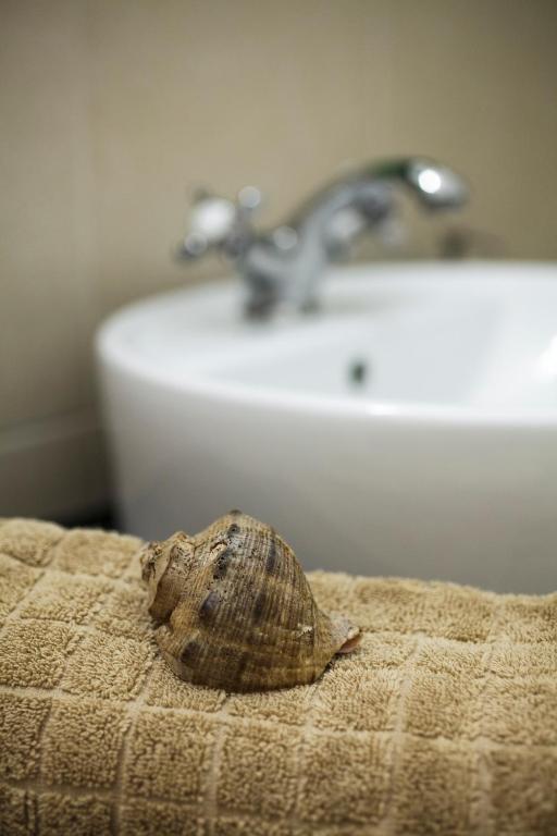 Fotografie z fotogalerie ubytování Hotel Paris v Rimini