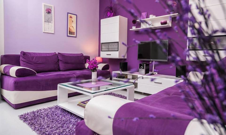 TV a/nebo společenská místnost v ubytování Apartment Avala