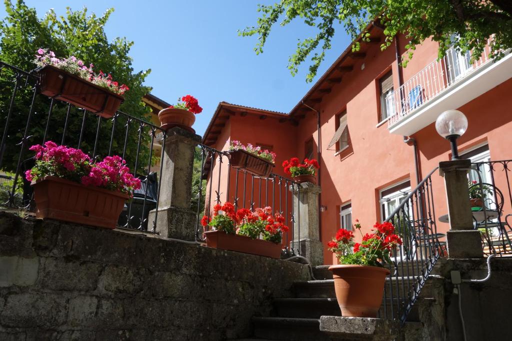 a group of potted flowers on a wall next to a building at Hotel Roma in Scanno