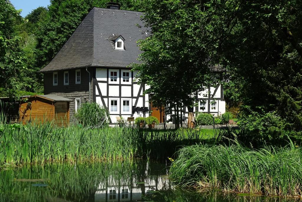 a white house with a black roof next to a lake at Ferienwohnung "kleine Auszeit" in Olsberg