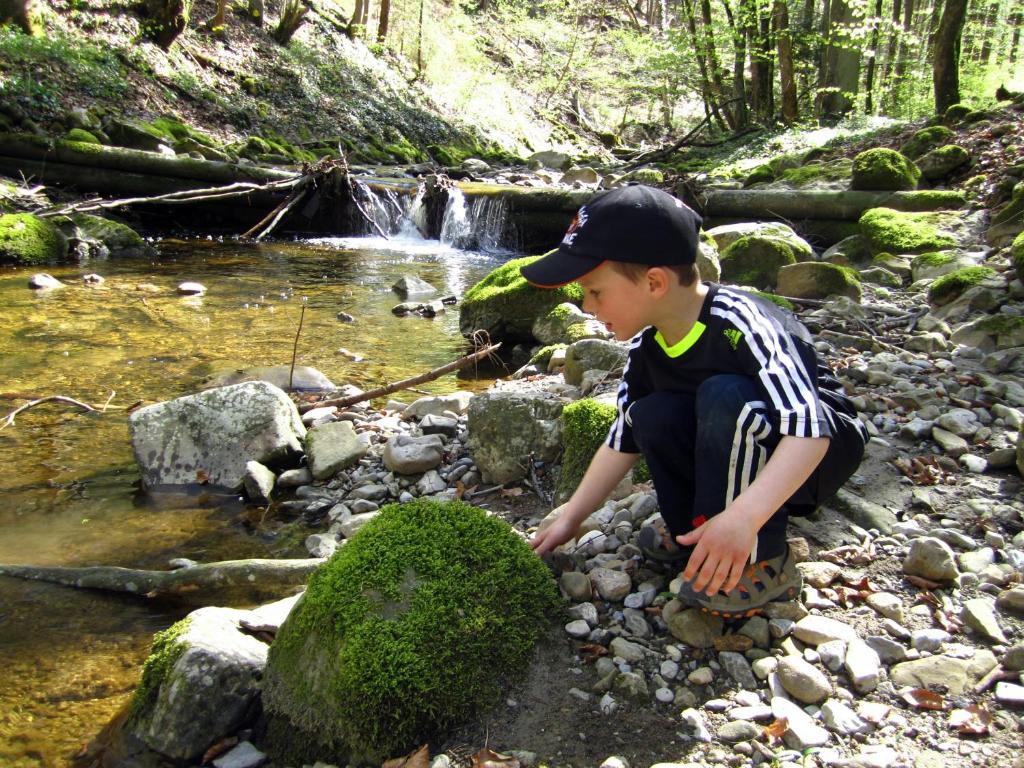 Gallery image of Baby- und Kinderhof Aicherbauer in Seeham