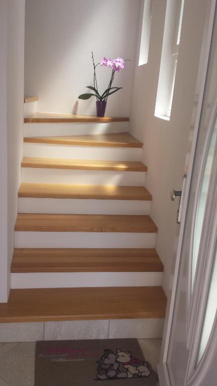 Fotografie z fotogalerie ubytování Apartment Ika v destinaci Zadar