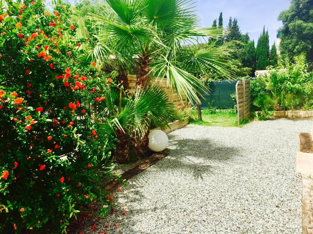 un jardín con flores rojas y una palmera en Appartement Sol y Mar, en Saint-Aygulf