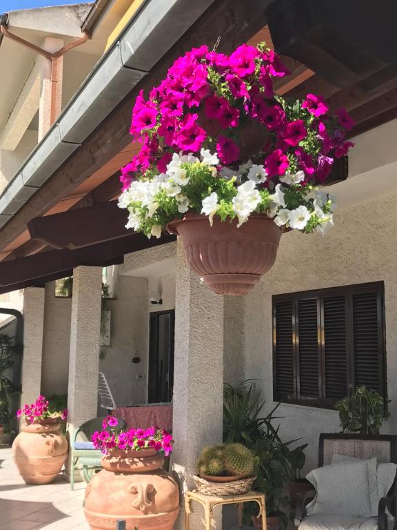 Zahrada ubytování Hotel B&B Rispescia Grosseto