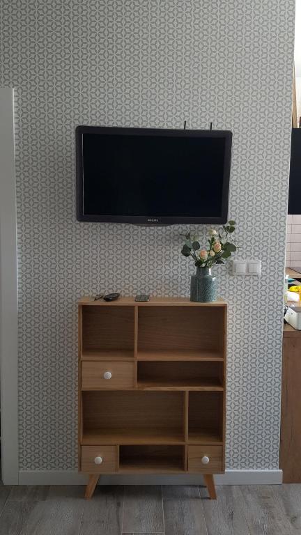 Televízia a/alebo spoločenská miestnosť v ubytovaní Apartament Homole A6