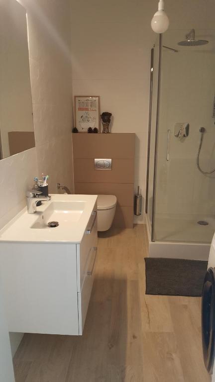 Kúpeľňa v ubytovaní Apartament Homole A6