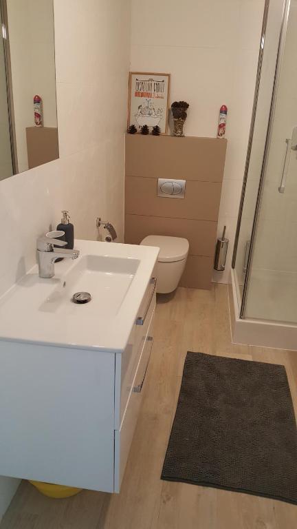 Kúpeľňa v ubytovaní Apartament Homole A6