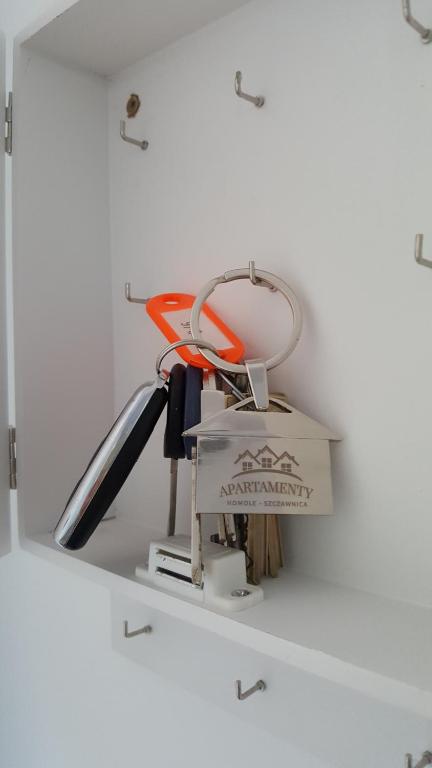 Fotografia z galérie ubytovania Apartament Homole A6 v destinácii Szczawnica
