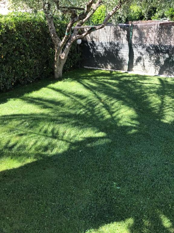 Zahrada ubytování Hotel B&B Rispescia Grosseto
