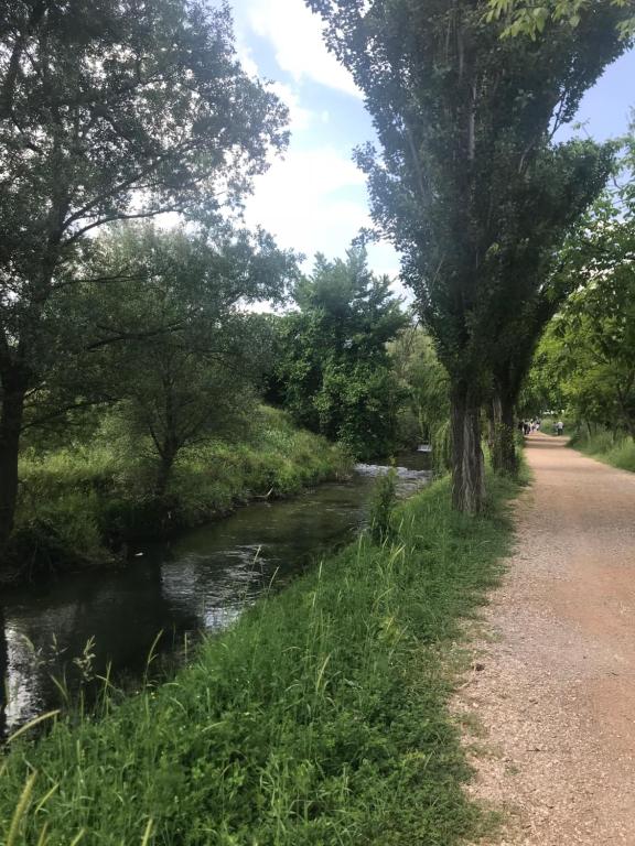 Príroda v okolí apartmánu