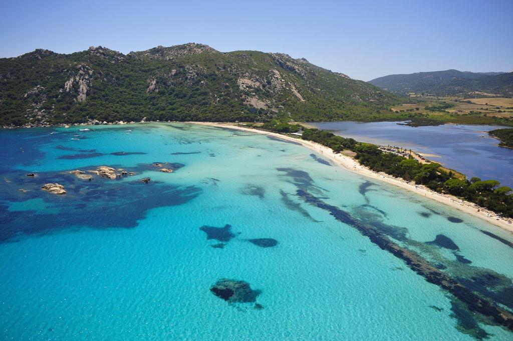 an aerial view of a beach with turtles in the water at Villa Bella Vista in Porto-Vecchio