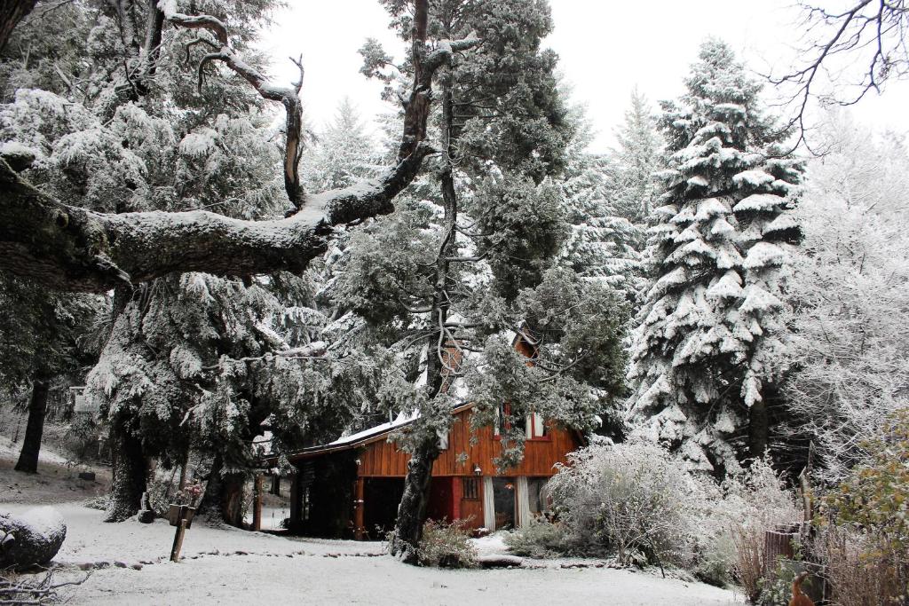 una cabaña en el bosque con nieve en los árboles en Cabaña Llavu Lemu en San Carlos de Bariloche