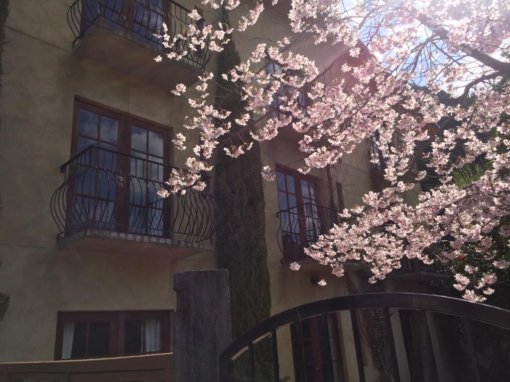 Browns Boutique Hotel - Resim 38