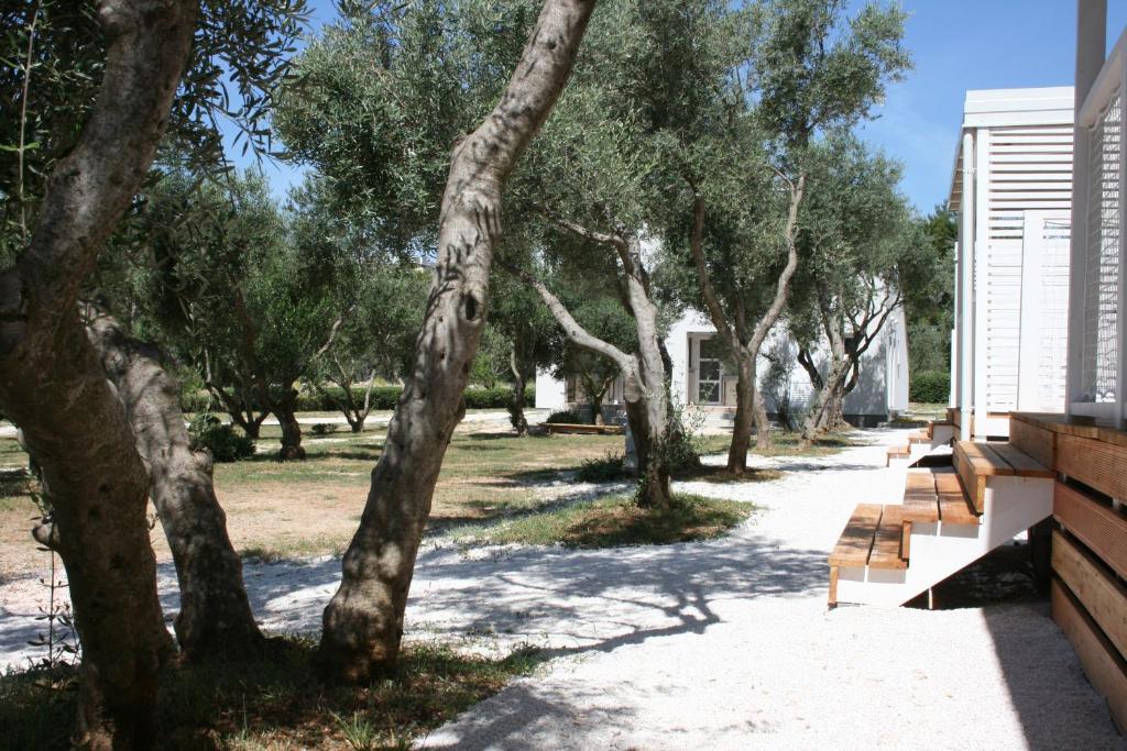 Fotografie z fotogalerie ubytování Mobile Homes Katinka, Starigrad Paklenica, Croatia v destinaci Starigrad-Paklenica
