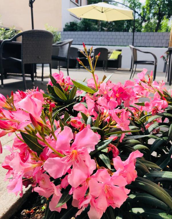 CREO Munich City - Resim 16