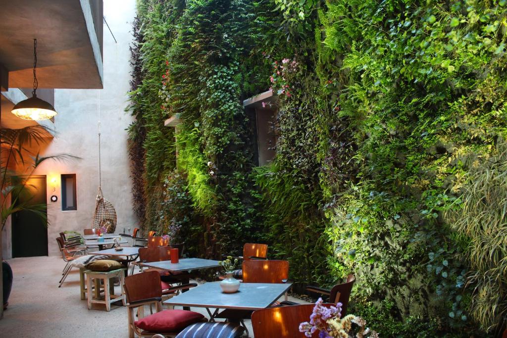 Zahrada ubytování Kook Hotel Tarifa