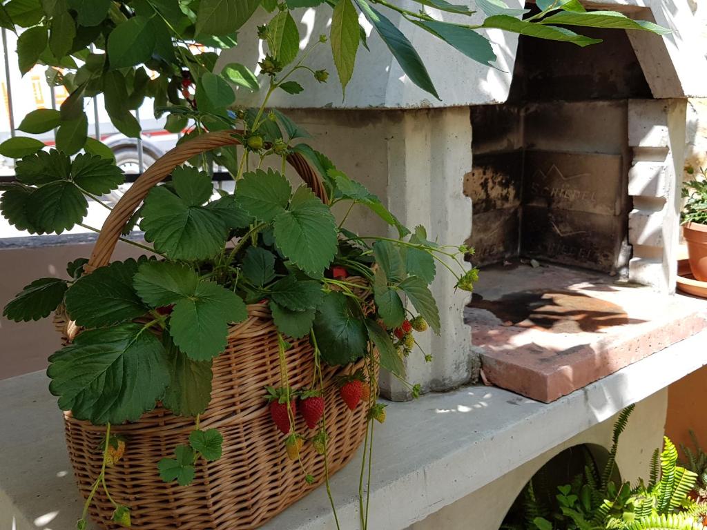 Apartments Toni - 19