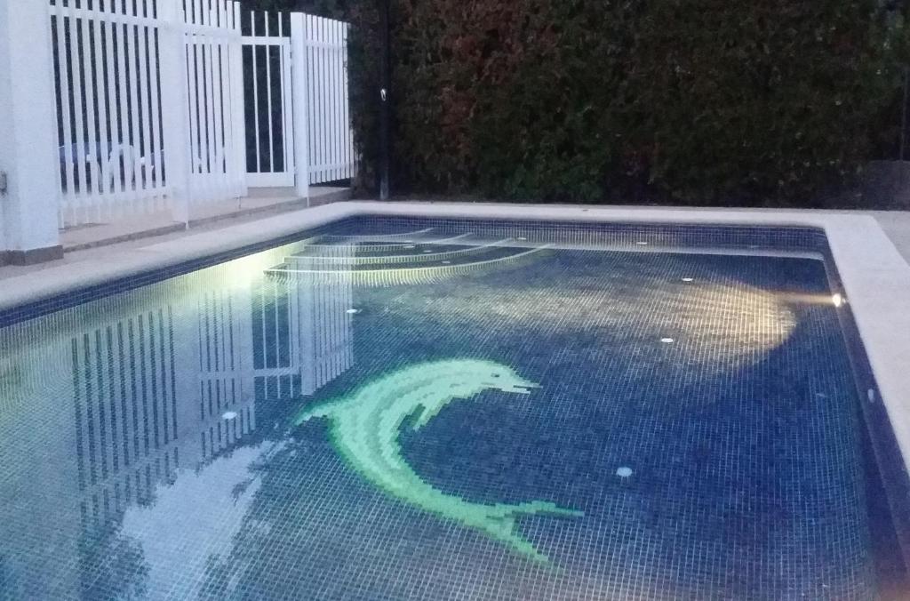 a green snake painted on the top of a swimming pool at Villa Sirenes in Playa de Muro