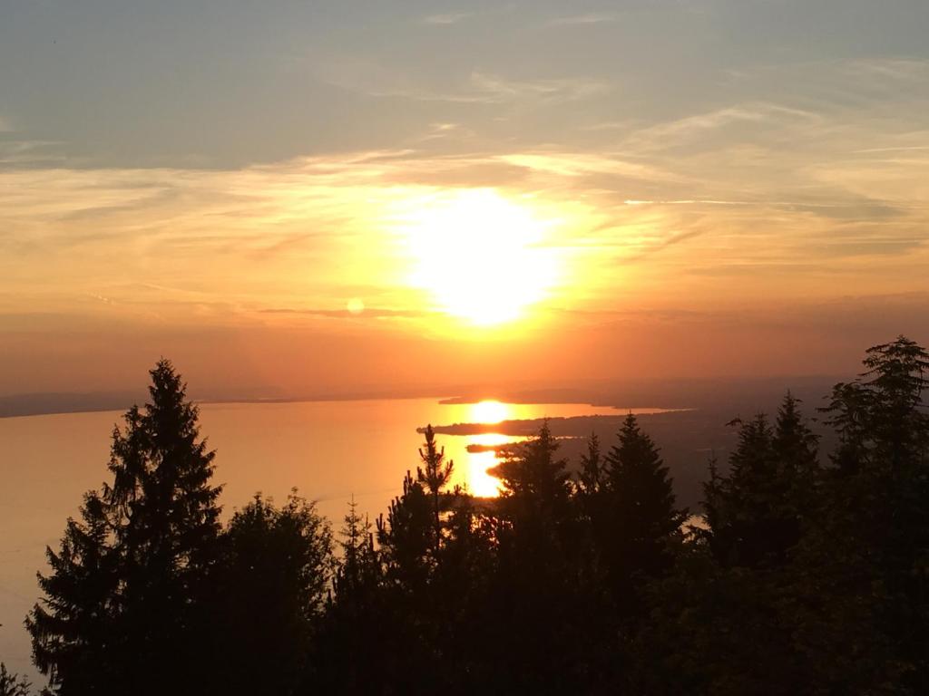 um pôr-do-sol sobre a água com árvores em primeiro plano em Pfänder 35 em Lochau