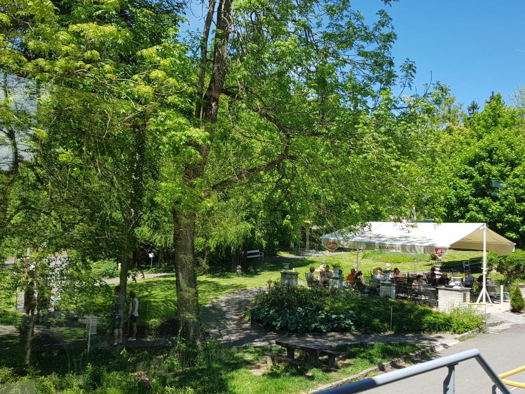 Zahrada ubytování Hotel Krakonoš