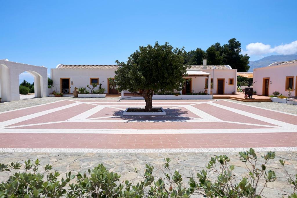 a courtyard with a tree in the middle at Tenute Plaia Agriturismo in Scopello